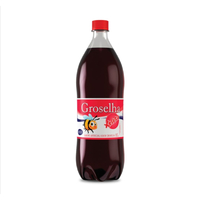 BEST BEFORE 11/01/24 Groselha red Currant Syrup 1L