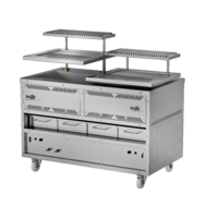 Gas with Lava Rock Parrilla Grill - Open Style 660 series